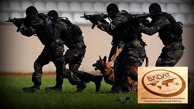 О деятельности турецкой ЧВК в Африке