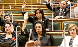 Избирательные права женщин в арабских странах: исламские критерии и законодательство